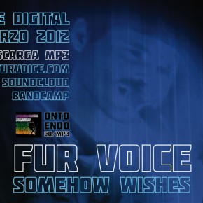 :::Fur Voice lanza nuevo single digital ::: Escúchalo en Siglo21 ( Radio3/RNE) y descúbrelo en PlayGround Mag :::