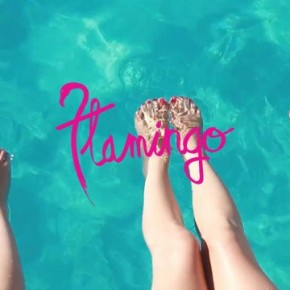 FLAMINGO de nuevo en el Santos Ibiza Coast Club  #Disco #80s #NuDisco #Indie #Dance #FashionShow #BeFlamingo | patcomunicaciones.com