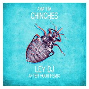 LEY DJ ESTRENA NUEVO REMIX ( AMATRIA - CHINCHES )