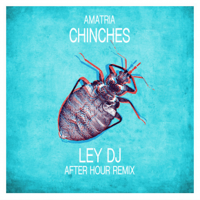 LEY DJ ESTRENA NUEVO REMIX ( AMATRIA - CHINCHES ) | patcomunicaciones.com